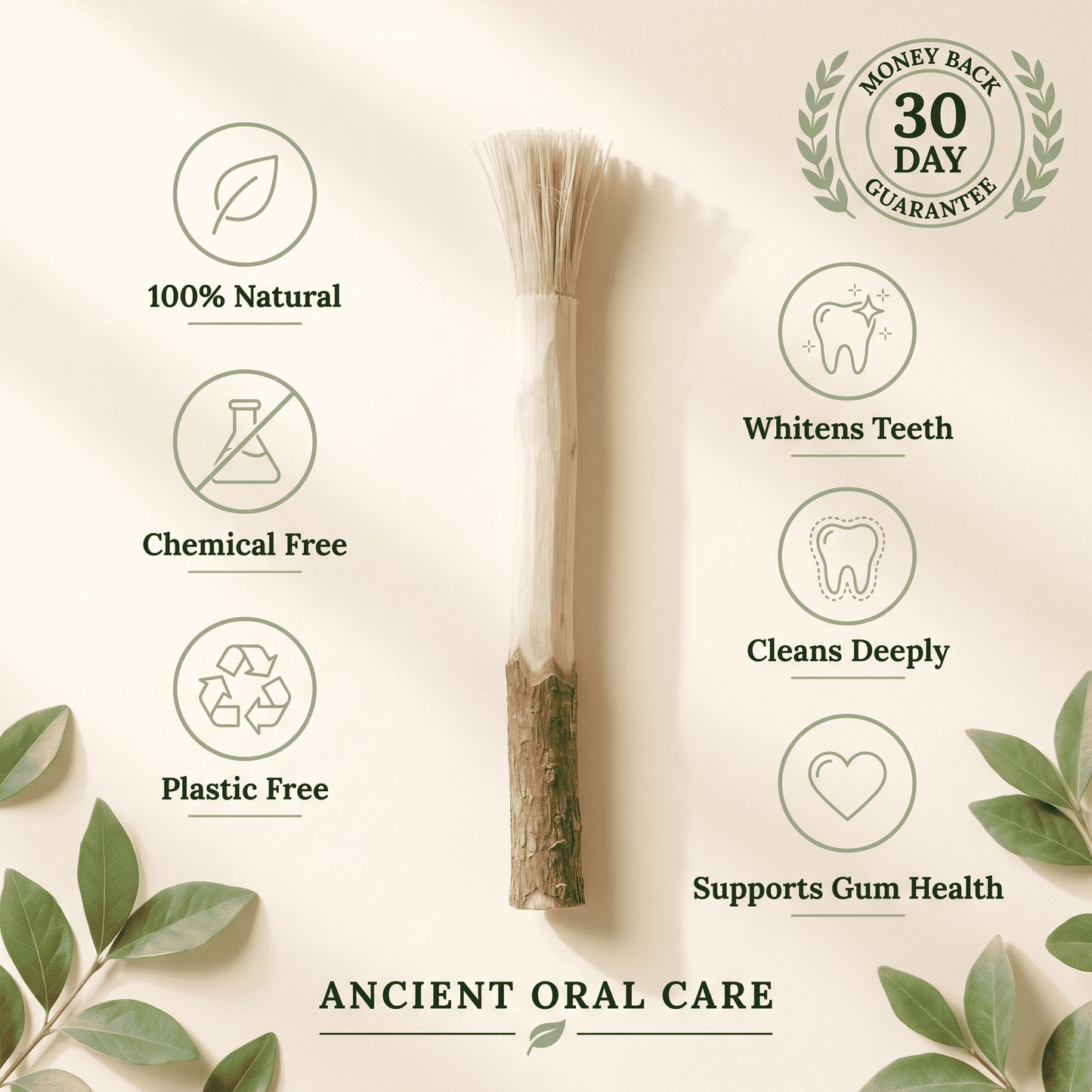 Natural Miswak Toothbrush Stick